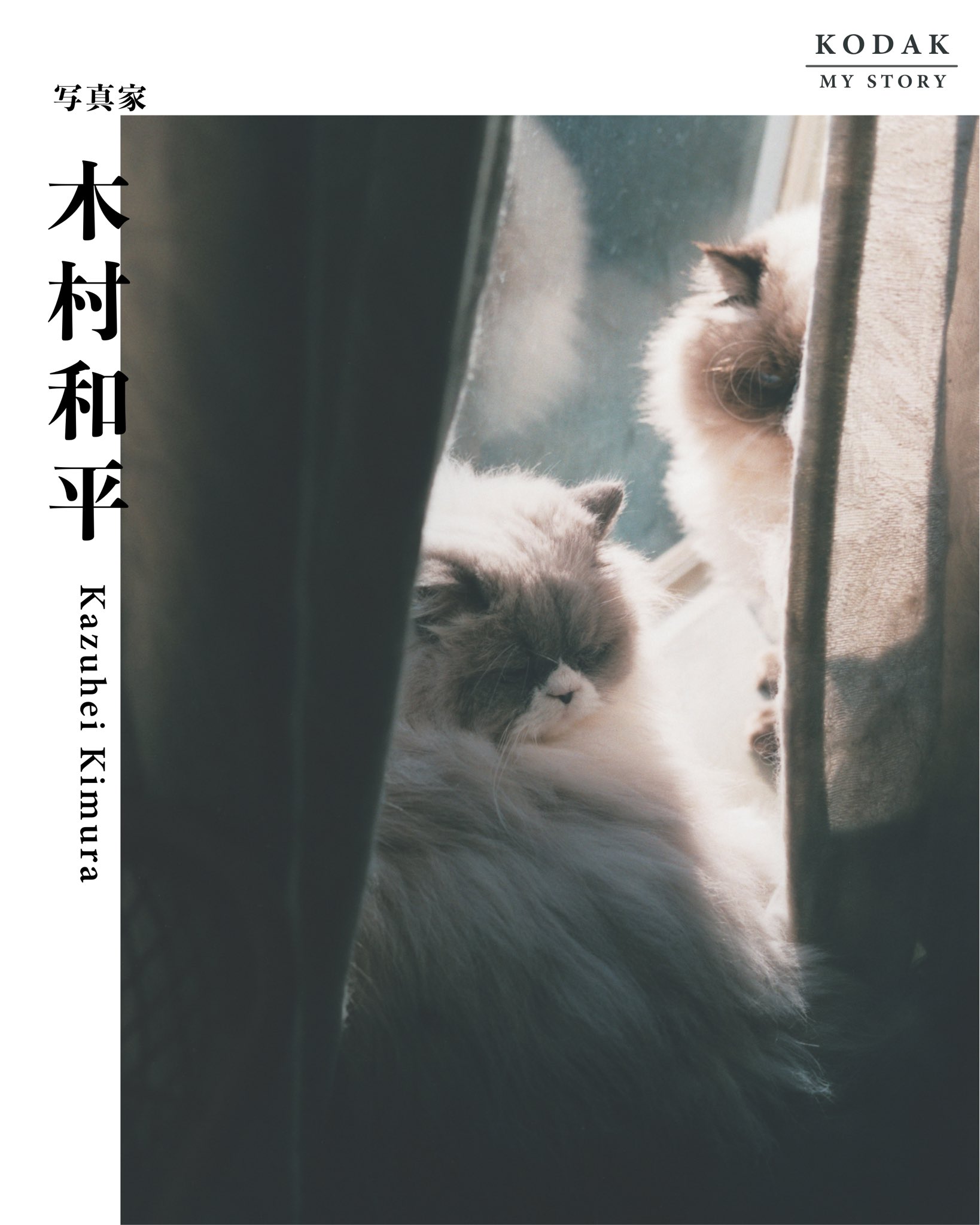 KODAK |「My Story」