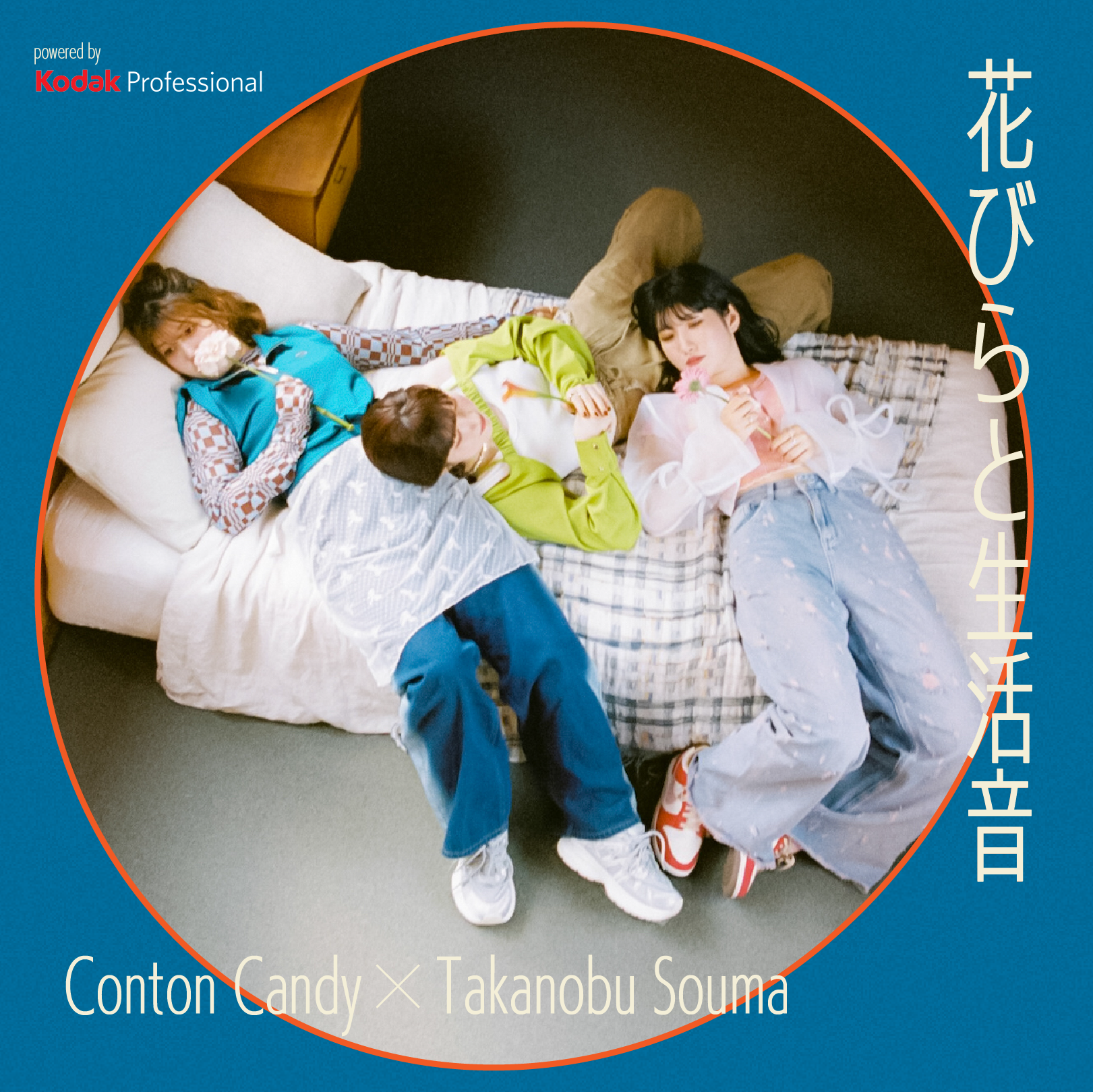 Conton Candy | 花びらと生活音