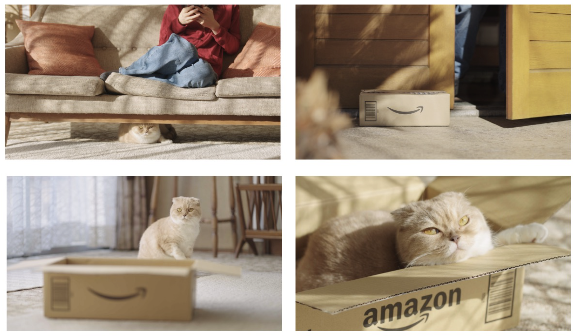 AMAZON JAPAN | MOVIE SHOOT